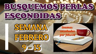 Busquemos perlas escondidas. Semana Febrero 9 - 15