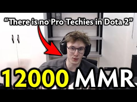 12,000 MMR SABERLIGHT REVEALED: There's No Pro Techies in Dota 2