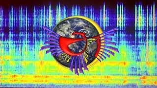 Hawkwind – The Black Corridor