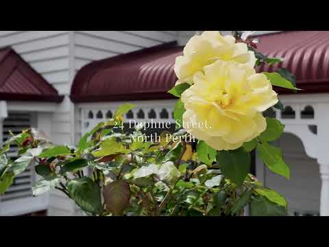 24 Daphne Street, North Perth, WA 6006, 3 침실, 2 욕실, House