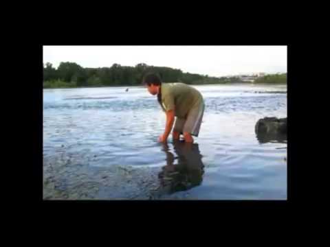Big Carp Adventures   River Monsters Part 1 & 2