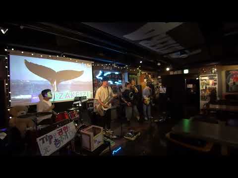 R.H.C.P - I'll Be Your Domino (cover by si:zakeizi)