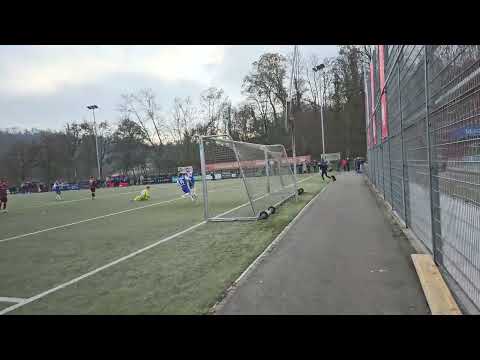 TSG Backnang - VfR Mannheim / Das 0:1 d. Alexandru Paraschiv