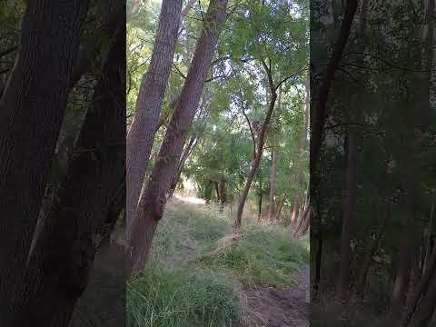 Mendoza, Tupungato ♥️♥️