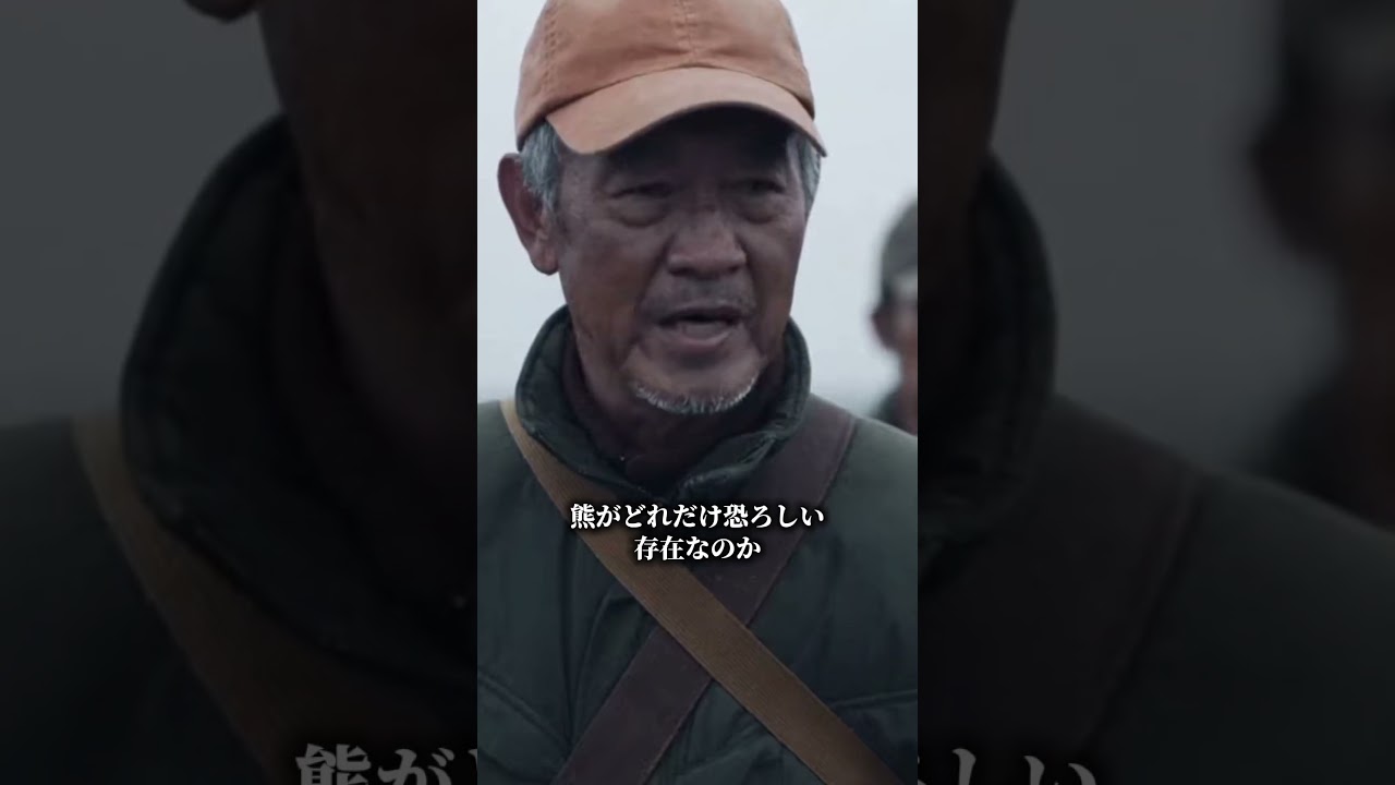 海を渡るクマ！ #shorts #クマ被害 #愛護団体 #shortvideo #熊