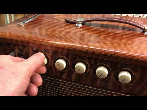 Vibe E3 Custom Amp from DTS Custom Shop