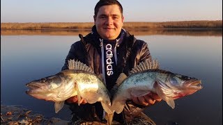 Погода рыбалка в краснодарском крае