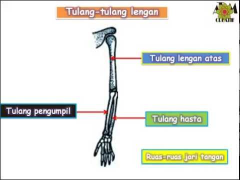 Untuk membeli sarana untuk meningkatkan potensi Beberapa pil dengan potensi yang lebih rendah
