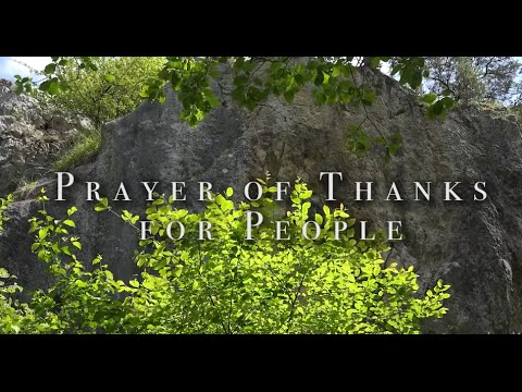 Click to Watch the Four Phrases That Will Transform Your Relationships video