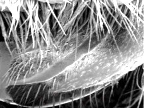 Concord Dawn - This Is All There Is (Original Audio)