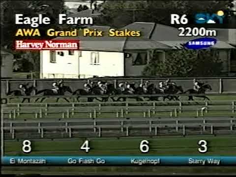 1999 Grand Prix Stakes Eagle Farm
