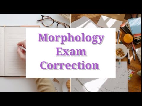 Morphology Exam Correction
