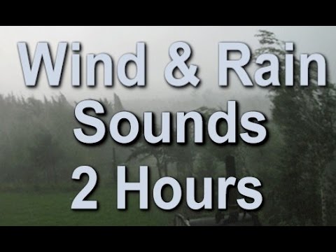 The Sound of Rain and Wind: 2 Hour Long Sleep Sound