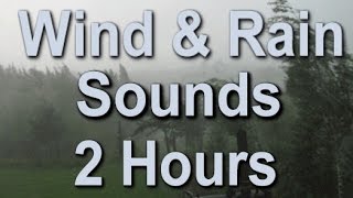 The Sound of Rain and Wind: 2 Hour Long Sleep Sound