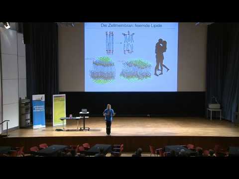 Patrick Seelheim: Universität Münster, Institut für Biochemie, "Kooperativität "