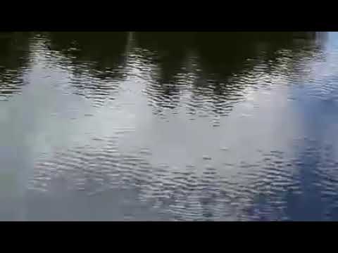 Overlook Mountain and Echo Lake, Catskills