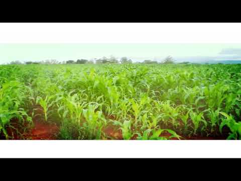 Komborerai Mwari wangu - Leeknoxy Wemakomo ft Father Mazunze
