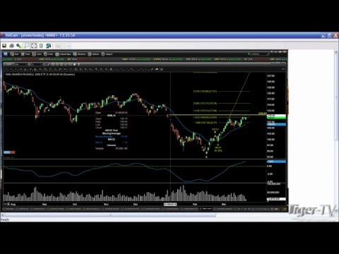 March 22nd Trader's Edge with Steve Rhodes on TFNN - 2016