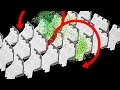 How A Sneeze Travels Through An Airplane