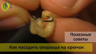 Ссылка