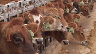 Market to Market (December 16, 2016)