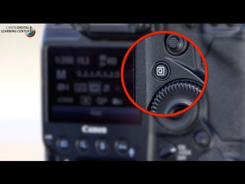 Canon: Bird Photography with Arthur Morris: Camera settings