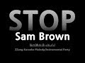 Sam Brown-STOP (Instrumental) [ZZang KARAOKE]