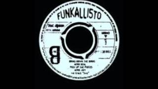 Funkallisto - Bring Down The Birds