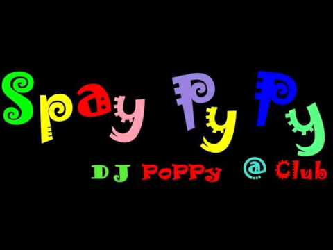 DJ PoPPy -  Whirlwind