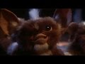 Gremlins El Nacimiento De Los Gremlins