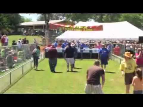 Wiener Dog Race - Elly goes for gold!