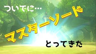 【ゲーム実況】 ゼルダの伝説 BotW #11