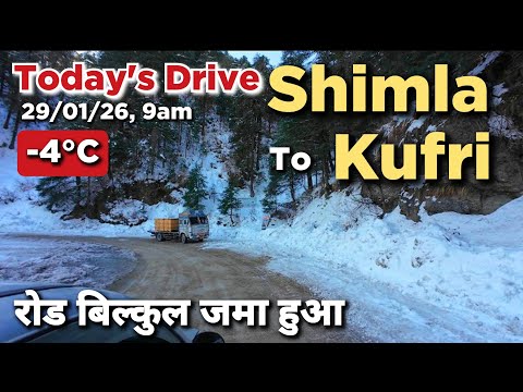 Today's Shimla to Kufri Drive | Kufri Latest Update Video #shimlakuftisnowfall #Heavysnowfallshimla