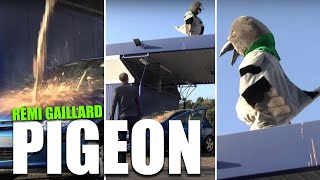 PIGEON (REMI GAILLARD)