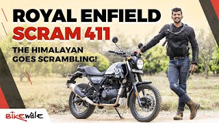 The Royal Enfield Scram 411 is essentially a Himalayan scrambler for the urban jungle, and for some light off-roading. But, should you buy it over the Royal Enfield Himalayan and the Yezdi Scrambler? Watch the video to find out.