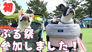 ぶる祭で初めて視聴者さんと遭遇しました！😆