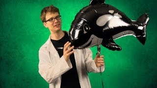 Strong Interaction: The Four Fundamental Forces of Physics #1b