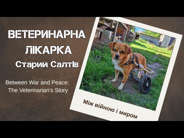 Veterinarian. Between War and Peace.