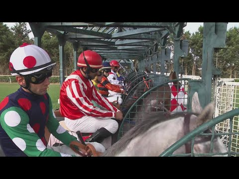 Galoppo Corse  del 21 Ottobre 2023