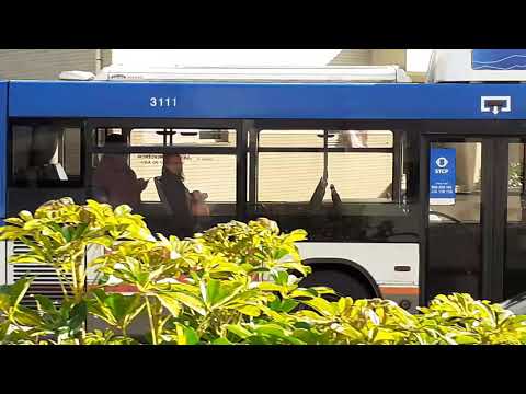 STCP linha 805 veiculo 3111