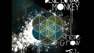 Blue Lunar Monkey - Two Vines (Ayahuasca) (Original Mix)