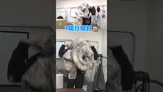 50万円の福袋開封！1箱目📦️#はんじょう #福袋開封