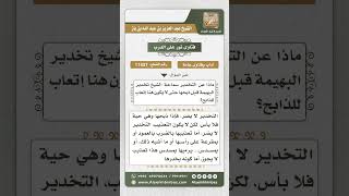 صورة 11437 - حكم تخدير الذبيحة عند ذبحها -  نور على الدرب