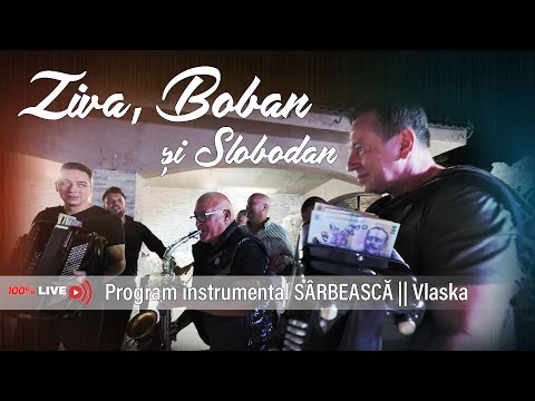 Ziva, Slobodan, Boban || Instrumental SARBEASCA || Vlaska || Cununie Carmen IENCI & Costi Sarbulescu