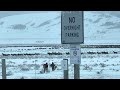 Elk Hunters In The National Elk Refuge Jackson Hole Wyoming December 2022