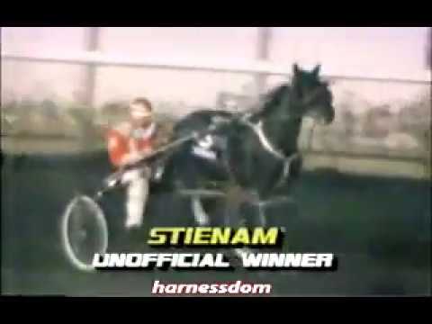 1985 Edmonton STIENAM Breeders Crown 3yo Filly Pace