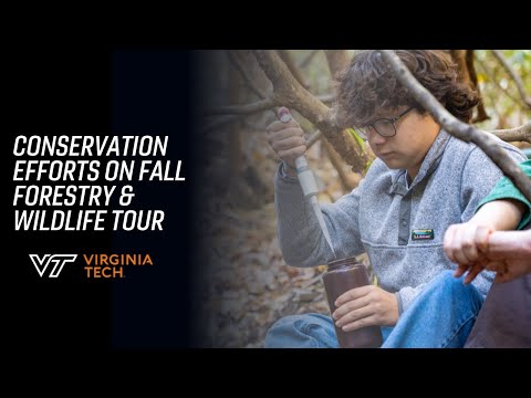 Conservation efforts on display during Fall Forestry and Wildlife Tour