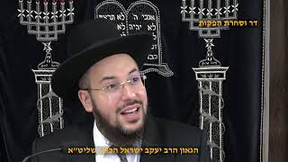 איך להנצל מכישופים ועין הרע . הילולת האור החיים הקדוש הגאון הרב יעקב ישראל הכהן שליט"א (דר וסוחרת - הלוויין של מרן) - התמונה מוצגת ישירות מתוך אתר האינטרנט יוטיוב. זכויות היוצרים בתמונה שייכות ליוצרה. קישור קרדיט למקור התוכן נמצא בתוך דף הסרטון איך להנצל מכישופים ועין הרע . הילולת האור החיים הקדוש הגאון הרב יעקב ישראל הכהן שליט"א (דר וסוחרת - הלוויין של מרן) - התמונה מוצגת ישירות מתוך אתר האינטרנט יוטיוב. זכויות היוצרים בתמונה שייכות ליוצרה. קישור קרדיט למקור התוכן נמצא בתוך דף הסרטון