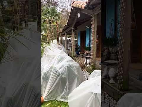 Vidéo chantier