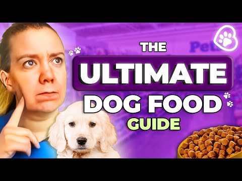Pet Nutritionist Shares How To Pick The BEST Food For Your Dog!